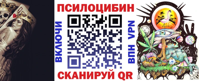 Псилоцибиновые грибы Psilocybine cubensis Шебекино
